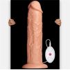 Gode vibrant Long Dildo 25 x 6 cm Gode vibrant Long Dildo 25 x 6 cm
