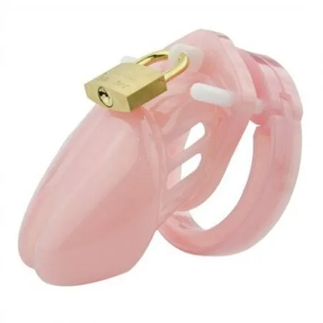 Cage de chasteté Mini Locky 6 x 3.2cm Rose pas cher