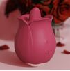 Accessoire Anulingus Rose Pro 4 - 9 Vibrations Accessoire Anulingus Rose Pro 4 - 9 Vibrations