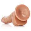 Gode réaliste Curved Kurt 15 x 3.7cm Latino Gode réaliste Curved Kurt 15 x 3.7cm Latino