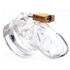Cage de chasteté MINI LOCKY 6 x 3.2 cm Transparente Cage de chasteté MINI LOCKY 6 x 3.2 cm Transparente
