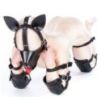 Kit complet Puppy Bondage 14 Pièces Noir-Rouge Kit complet Puppy Bondage 14 Pièces Noir-Rouge