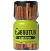 Poppers Brutus Cinnamon Pentyle 10ml Poppers Brutus Cinnamon Pentyle 10ml