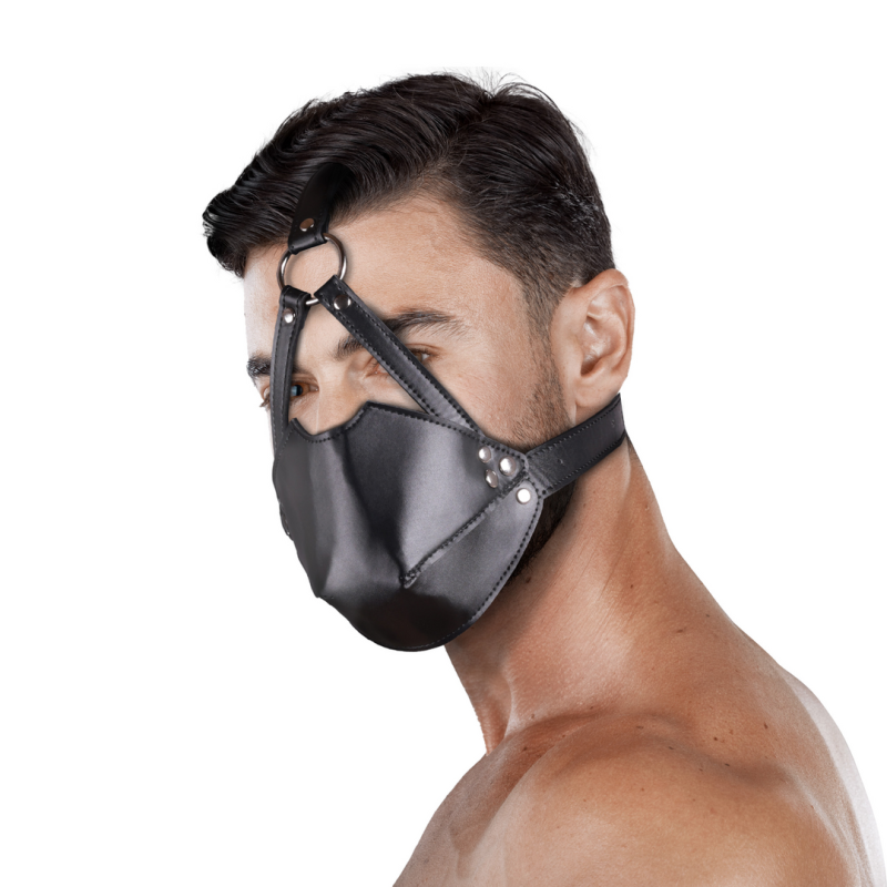 Muselière avec Bâillon Head Harness Noire