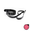 Collier Laisse Premium Collier Laisse Premium