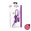 Oeuf Rechargeable Télécommandé Violet Kegel Egg Oeuf Rechargeable Télécommandé Violet Kegel Egg