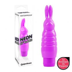 Stimulateur Vibrant Lil Rabbit Pourpre
